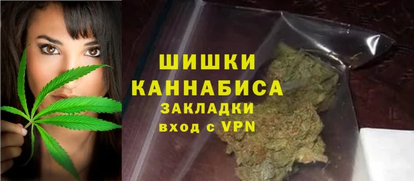 крисы Баксан