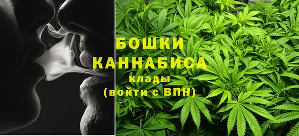 крисы Баксан