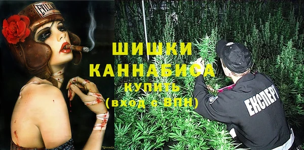 крисы Баксан