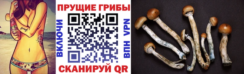 Галлюциногенные грибы прущие грибы  Красноярск 